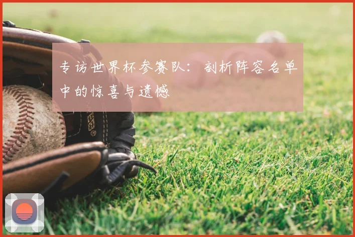 专访世界杯参赛队：剖析阵容名单中的惊喜与遗憾