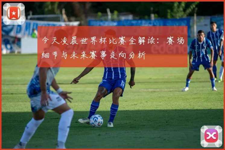 今天凌晨世界杯比赛全解读:赛场细节与未来赛事走向分析