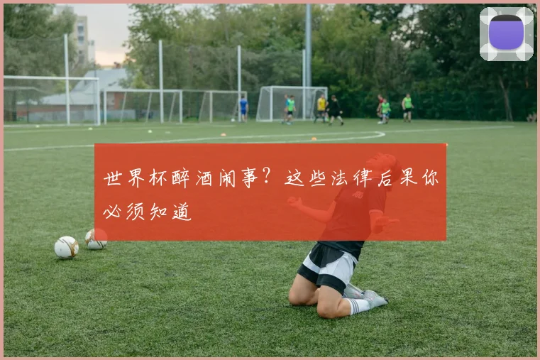 世界杯醉酒闹事?这些法律后果你必须知道