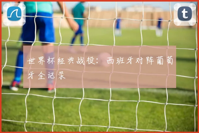 世界杯经典战役：西班牙对阵葡萄牙全记录