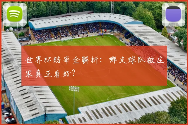 世界杯赔率全解析:哪支球队被庄家真正看好?