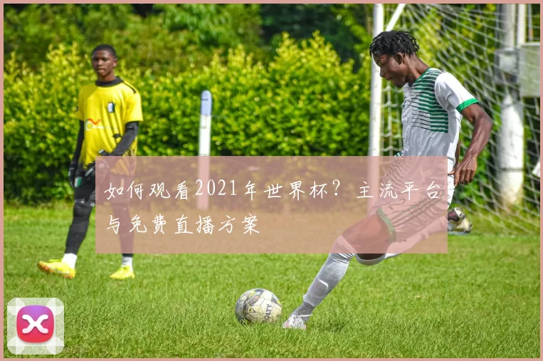 如何观看2021年世界杯？主流平台与免费直播方案