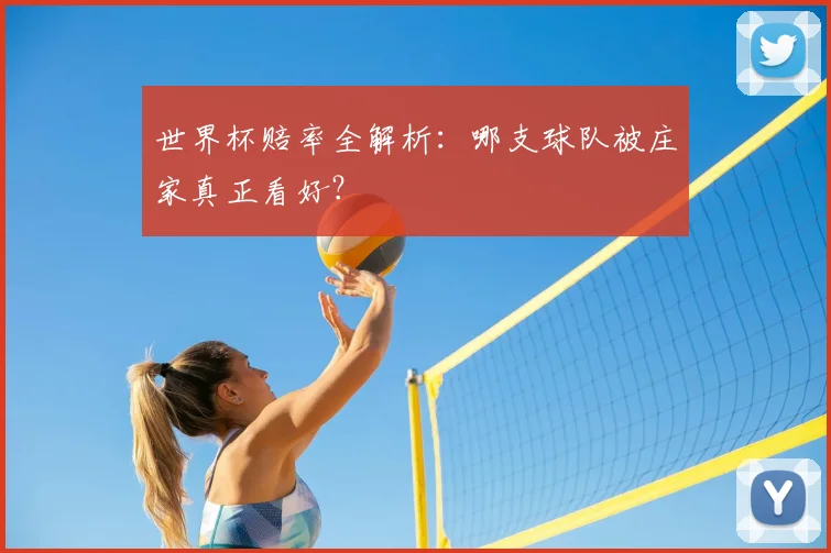 世界杯赔率全解析:哪支球队被庄家真正看好?
