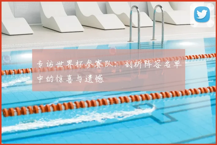 专访世界杯参赛队：剖析阵容名单中的惊喜与遗憾