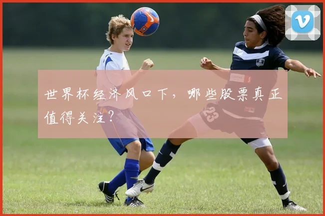 世界杯经济风口下,哪些股票真正值得关注?