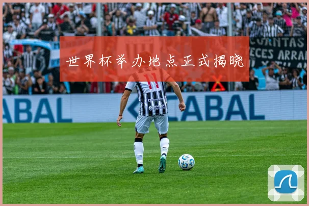 世界杯举办地点正式揭晓