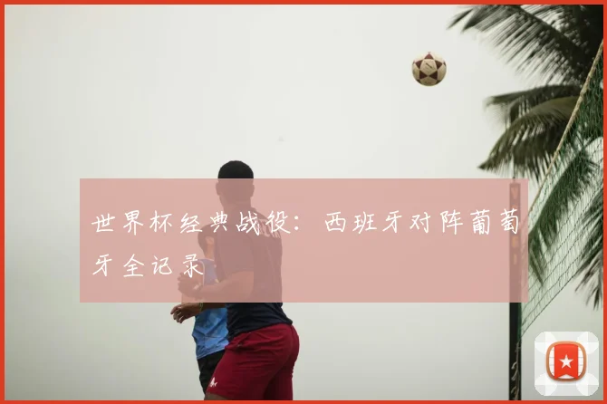 世界杯经典战役：西班牙对阵葡萄牙全记录