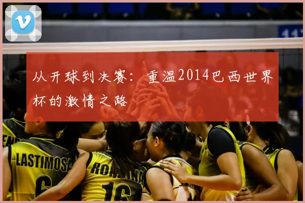 从开球到决赛：重温2014巴西世界杯的激情之路