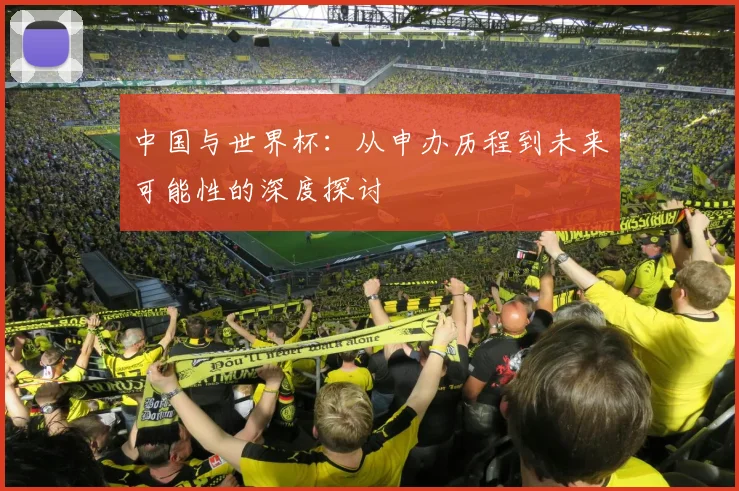 中国与世界杯：从申办历程到未来可能性的深度探讨