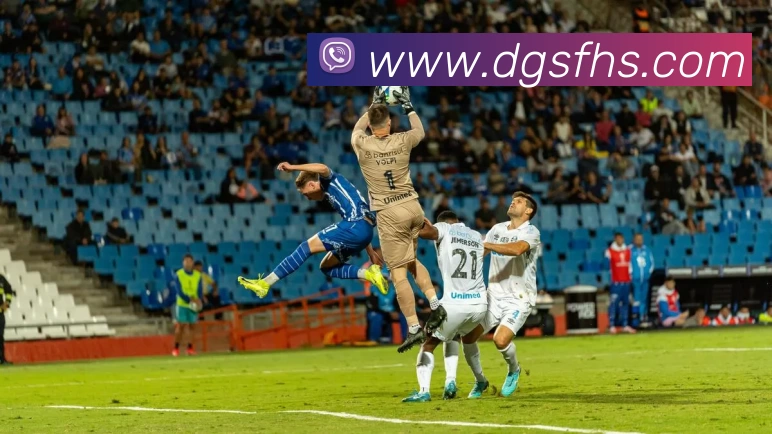 kaiyun平台生态图